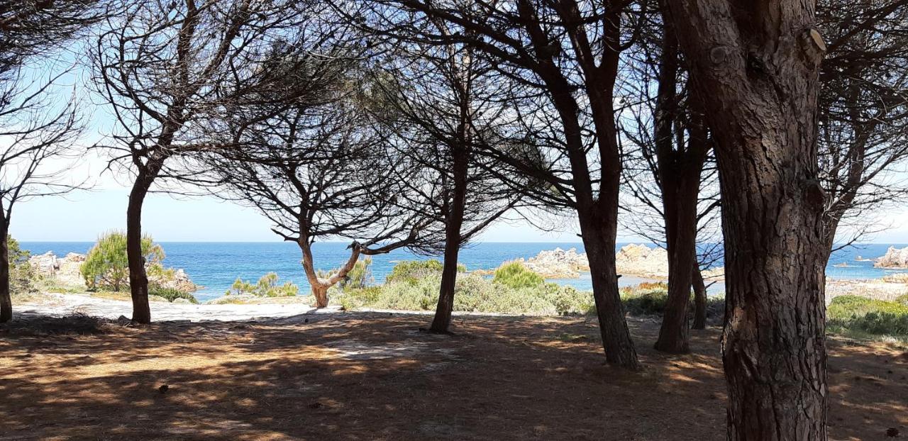 Mare Natura Confort... Il Mio Paradiso In Sardegna 이솔라 로사 외부 사진